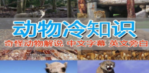 外面卖1699的国外纪录片解说（动物解说、美食、动画片）稳过中视频-九源吧资源站