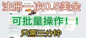 国外项目注册一次0.5美金 只需三分钟无脑操作 可批量放大 小白工作室福利-九源吧资源站
