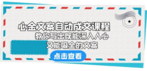 《心金文案自动成交课程》 教你写出既能深入人心、又能吸金的文案-九源吧网赚