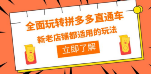 全面玩转拼多多直通车，新老店铺都适用的玩法（12节精华课）-九源吧网赚