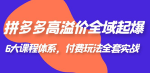 拼多多-高溢价 全域 起爆，6大课程体系，付费玩法全套实战-九源吧网赚学院