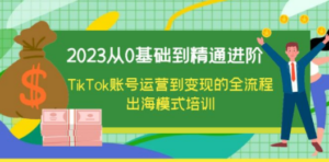 2023从0基础到精通进阶，TikTok账号运营到变现的全流程出海模式培训-九源吧网赚学院