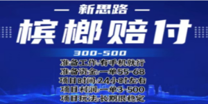 最新外卖槟榔赔付思路，一单收益至少300+（仅揭秘）-九源吧资源站