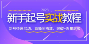 0-1新手起号实战教程：新号快速启动，直播间怎样搭建，突破-流量层级-九源吧网赚