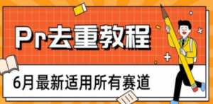 2023年6月最新Pr深度去重适用所有赛道，一套适合所有赛道的Pr去重方法-九源吧网赚