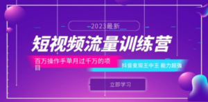 短视频流量训练营：百万操作手单月过千万的项目：抖音变现王中王 能力超强-九源吧网赚