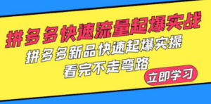 拼多多-快速流量起爆实战，拼多多新品快速起爆实操，看完不走弯路-九源吧网赚