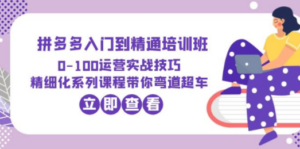 2023拼多多入门到精通培训班：0-100运营实战技巧 精细化系列课带你弯道超车-九源吧网赚