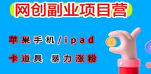 最新利用苹果手机/ipad 的ios系统，卡道具搬短视频，百分百过原创-九源吧网赚