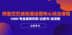 阿里巴巴诚信通运营核心玩法课程，1688/专业级知识库/白皮书/全攻略-九源吧网赚