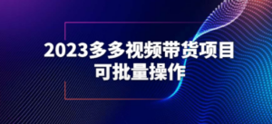 2023多多视频带货项目，可批量操作【保姆级教学】-九源吧网赚