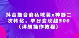 抖音撸音浪私域装x神器二次转化，单日变现超500（详细操作教程）-九源吧网赚
