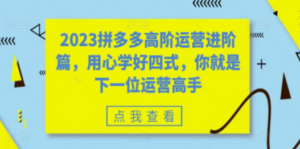 2023拼多多高阶运营进阶篇，用心学好四式，你就是下一位运营高手-九源吧网赚
