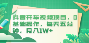 抖音开车视频项目，0基础操作，每天五分钟，月入1W+-九源吧资源站