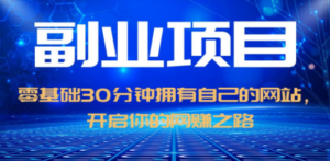 零基础30分钟拥有自己的网站，日赚1000+，开启你的网赚之路（教程+源码）-九源吧网赚