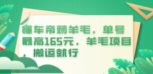 懂车帝薅羊毛，单号最高165元，羊毛项目，搬运就行-九源吧网赚学院