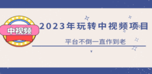 2023一心0基础玩转中视频项目：平台不倒，一直做到老   [复制链接]-九源吧网赚