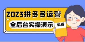 2023拼多多·运营：14节干货实战课，拒绝-口嗨，全后台实操演示-九源吧网赚