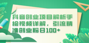 抖音创业项目解析手绘视频详解，引流精准创业粉日100+-九源吧网赚学院