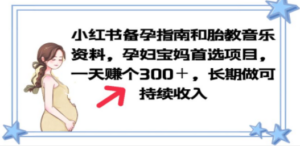 小红书备孕指南和胎教音乐资料 孕妇宝妈首选项目 一天赚个300＋长期可做-九源吧资源站