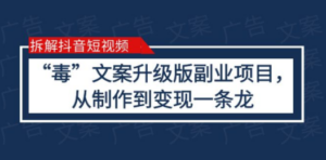 拆解抖音短视频：“毒”文案升级版副业项目，从制作到变现（教程+素材）-九源吧网赚