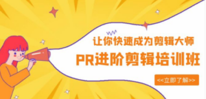 PR进阶剪辑培训班，让你快速成为剪辑大师 12节视频课程+素材！-九源吧网赚学院