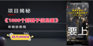 1000个野路子信息差保姆式教程-单日变现3000+的玩法解密-九源吧网赚