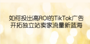 如何投出高ROI·TikTok广告，开拓独立站卖家流量新蓝海-九源吧网赚