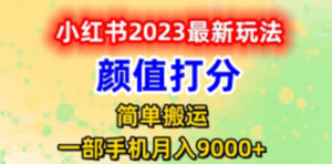 最新小红书颜值打分玩法，日入300+闭环玩法-九源吧网赚