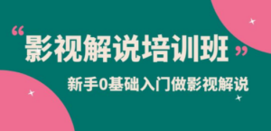 影视解说实战培训班，新手0基础入门做影视解说（10节视频课）-九源吧网赚学院
