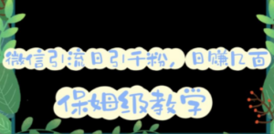 微信互推圈半自动引流方案，矩阵操作日引千人思路【详细视频教程】-九源吧网赚