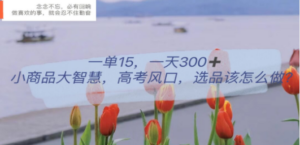 一单15，一天300+，小商品大智慧，高考风口，选品该怎么布局-九源吧网赚学院