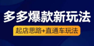 2023拼多多爆款·新玩法：起店思路+直通车玩法（3节精华课）-九源吧网赚