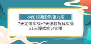 小红书训练营/第九期：7天定位实战+7天爆款拆解实战，21天爆款笔记实操-九源吧网赚