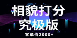 相貌打分究极版，客单价2000+纯新手小白就可操作的项目-九源吧资源站