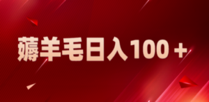 新平台零撸薅羊毛，一天躺赚100＋，无脑复制粘贴-九源吧资源站