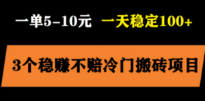 3个最新稳定的冷门搬砖项目，小白无脑照抄当日变现日入过百-九源吧资源站