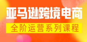 亚马逊跨境-电商全阶运营系列课程 每天10分钟，让你快速成为亚马逊运营高手-九源吧资源站
