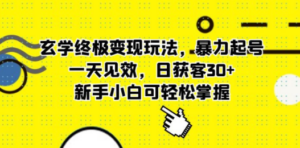 玄学终极变现玩法，暴力起号，一天见效，日获客30+，新手小白可轻松掌握-九源吧网赚学院