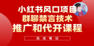 小红书风口项目日入300+，小红书群聊禁言技术代开项目，适合新手操作-九源吧网赚学院