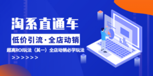 淘系直通车《低价·引流 全店·动销》超高ROI玩法（其一）全店动销必学玩法-九源吧网赚