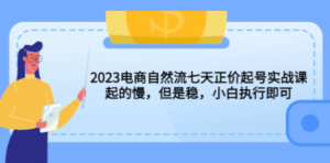 2023电商自然流七天正价起号实战课：起的慢，但是稳，小白执行即可-九源吧网赚