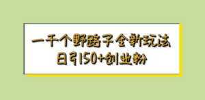 一千个野路子全新玩法 日引50+创业粉-九源吧网赚