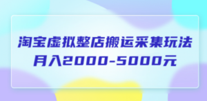 淘宝虚拟整店搬运采集玩法分享课：月入2000-5000元（5节课）-九源吧资源站