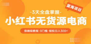 2023小红书无货源电商【保姆级教程从0到日入300】爆单3W-九源吧网赚