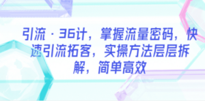 引流·36计，掌握流量密码，快速引流拓客，实操方法层层拆解，简单高效-九源吧网赚