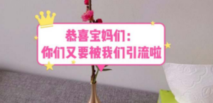 恭喜宝妈们：你们又要被我们引流了（教程+222g资料）-九源吧资源站