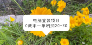 电脑系统重装项目，0成本一单利润20-30-九源吧网赚