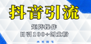 抖音引流术，矩阵操作，一天能引100多创业粉-九源吧网赚