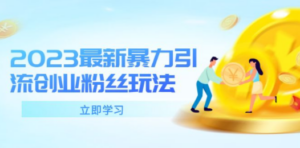 2023最新暴力引流创业粉丝玩法，单日被动引流50+创业粉-九源吧资源站
